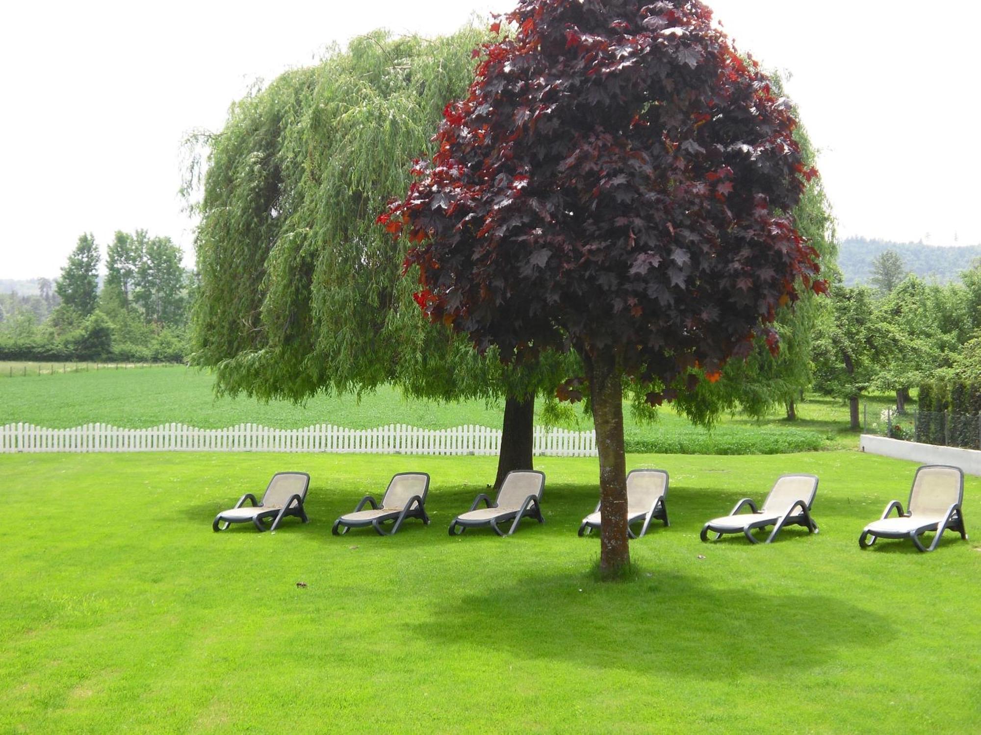 Pension Busch Salem  Buitenkant foto
